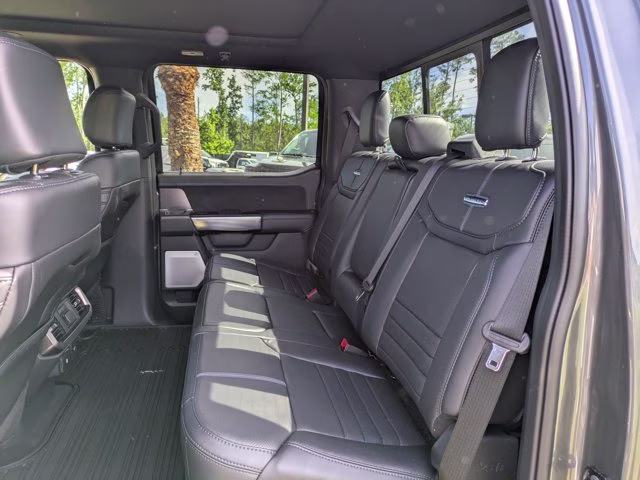 2025 Gray Metallic Ford F-150 Platinum 4X4 Truck