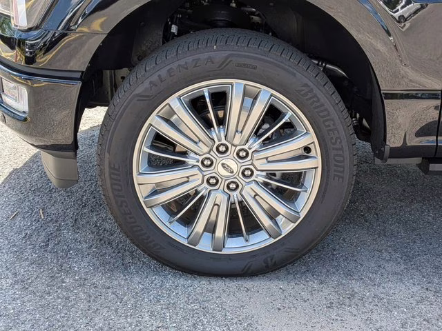 2025 Black Metallic Ford F-150 Platinum 4X4 Truck