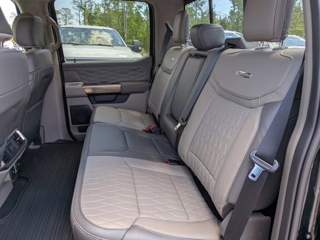 2025 Black Metallic Ford F-150 Platinum 4X4 Truck