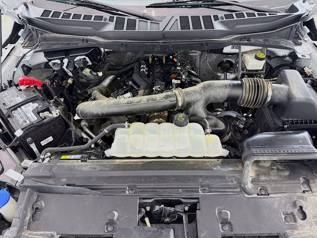 2024 Oxford White Ford F-150 XLT 4X4 Truck