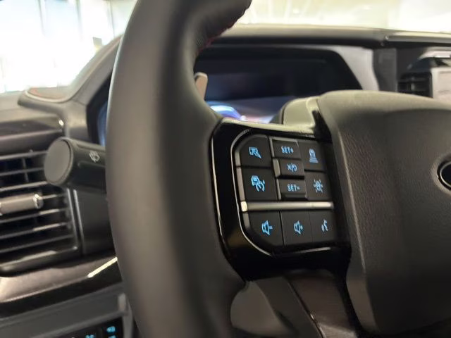 2025 Black Metallic Ford F-150 Raptor 4X4 Truck
