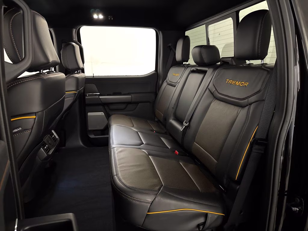 2026 Agate Black Metallic Ford F-150 Tremor 4X4 Truck