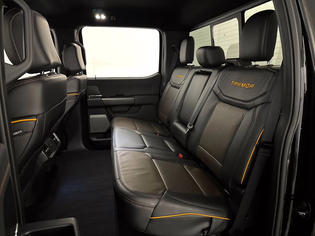 2026 Agate Black Metallic Ford F-150 Tremor 4X4 Truck