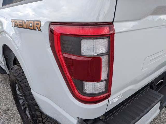 2023 Avalanche Ford F-150 Tremor 4X4 Truck