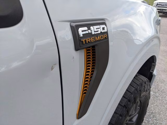 2023 Avalanche Ford F-150 Tremor 4X4 Truck