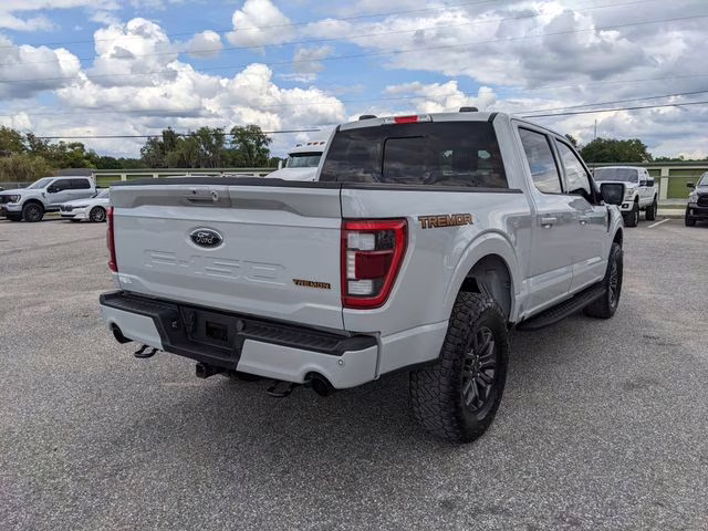 2023 Avalanche Ford F-150 Tremor 4X4 Truck