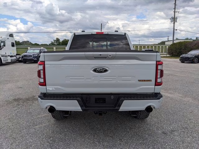 2023 Avalanche Ford F-150 Tremor 4X4 Truck