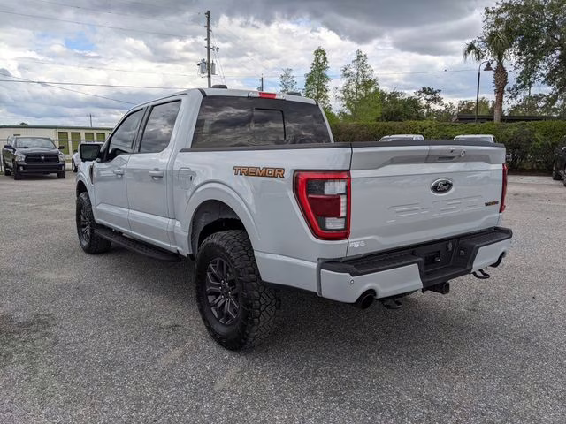 2023 Avalanche Ford F-150 Tremor 4X4 Truck