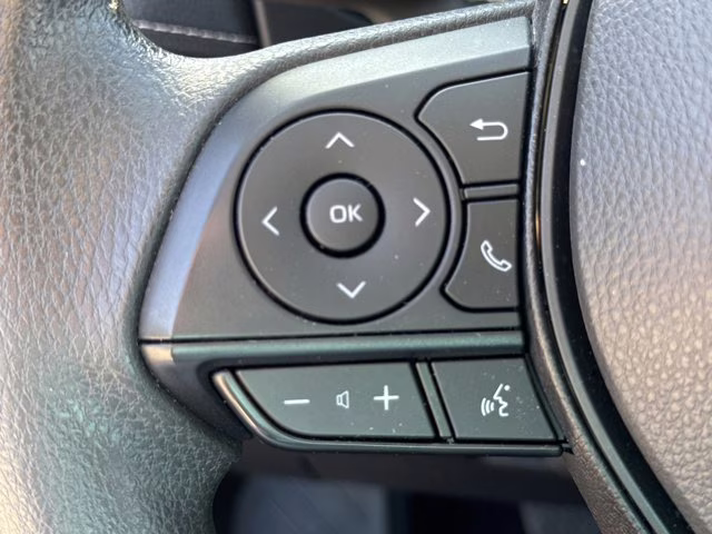 2025 Magnetic Gray Metallic Toyota RAV4 Hybrid LE AWD SUV