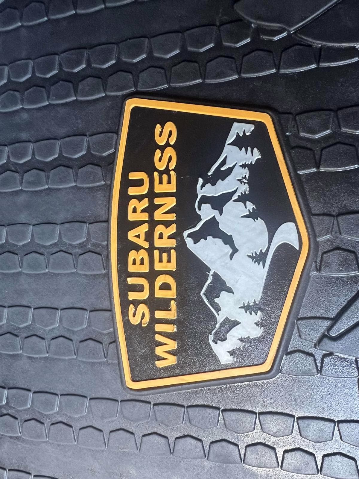 2025 Geyser Blue Subaru Outback Wilderness AWD SUV