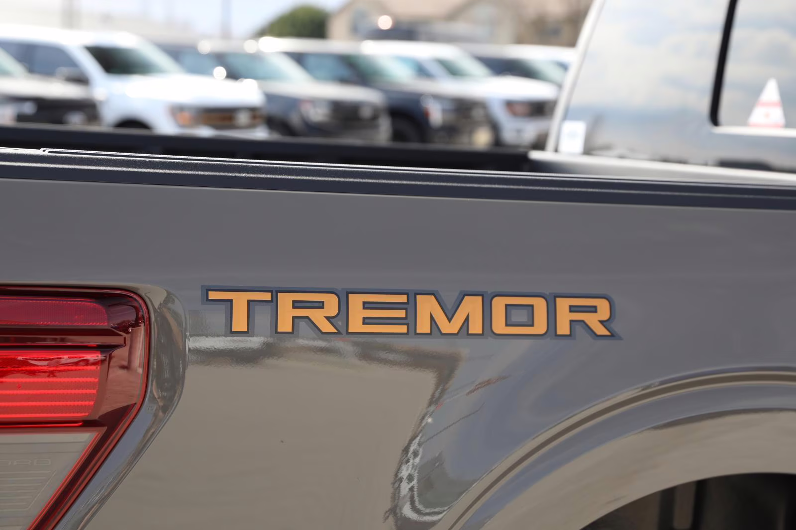 2026 Marsh Gray Ford F-150 Tremor 4X4 Truck