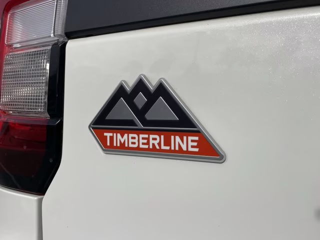 2022 White Metallic Ford Expedition Timberline 4X4 SUV