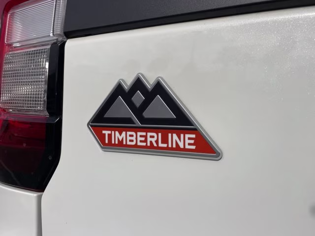 2022 White Metallic Ford Expedition Timberline 4X4 SUV