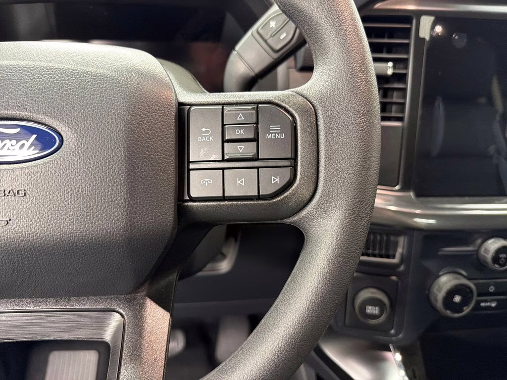 2026 ARGON BLUE Ford F-150 STX RWD Truck