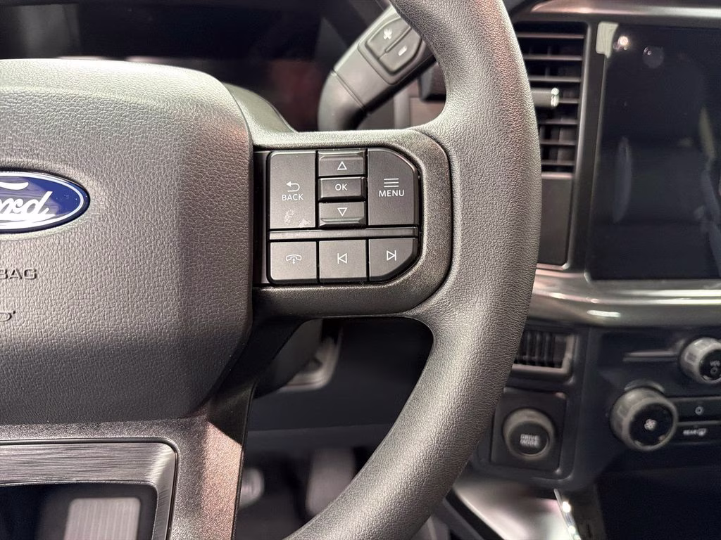 2026 ARGON BLUE Ford F-150 STX RWD Truck