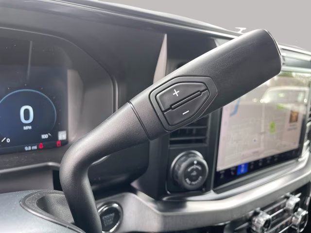 2026 Avalanche Ford Super Duty F-250 SRW Platinum 4X4 Truck