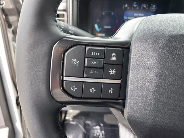 2026 Avalanche Ford Super Duty F-250 SRW Platinum 4X4 Truck