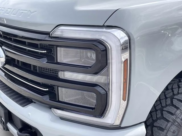2026 Avalanche Ford Super Duty F-250 SRW Platinum 4X4 Truck