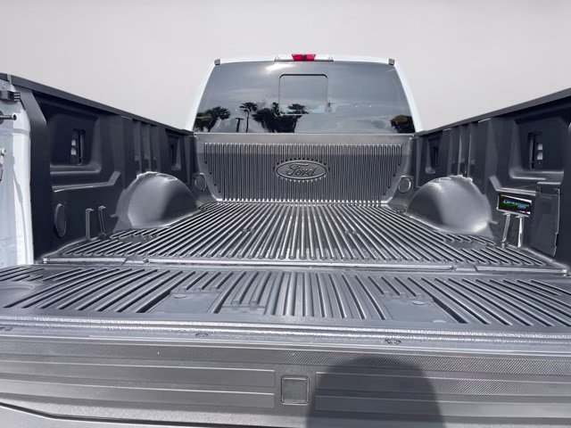 2026 Avalanche Ford Super Duty F-250 SRW Platinum 4X4 Truck