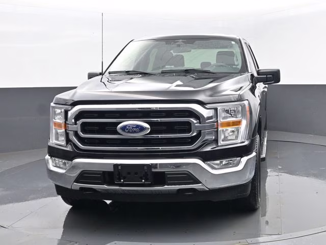 2023 Black Ford F-150 XLT 4X4 Truck