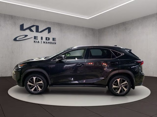 2019 Caviar Lexus NX 300 AWD SUV
