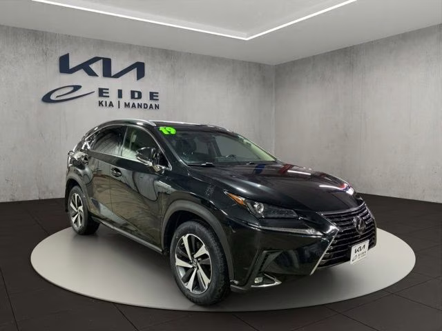 2019 Caviar Lexus NX 300 Base AWD SUV