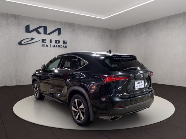 2019 Caviar Lexus NX 300 Base AWD SUV