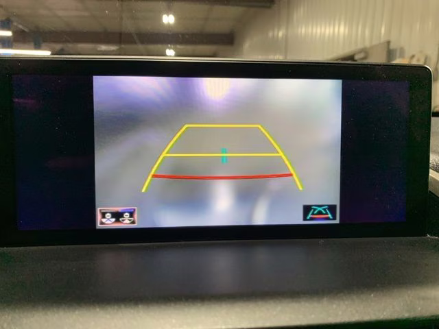 2019 Caviar Lexus NX 300 Base AWD SUV