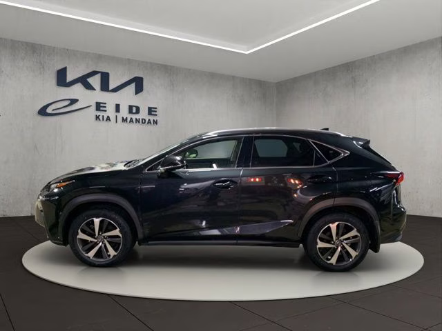 2019 Caviar Lexus NX 300 Base AWD SUV