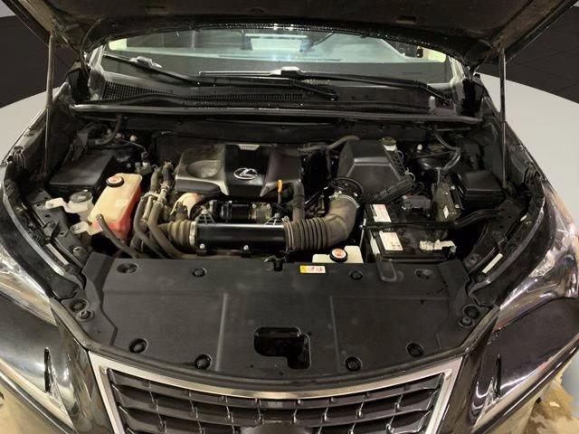 2019 Caviar Lexus NX 300 Base AWD SUV