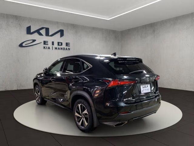 2019 Caviar Lexus NX 300 Base AWD SUV