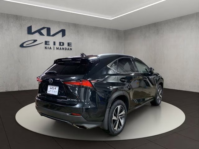 2019 Caviar Lexus NX 300 Base AWD SUV