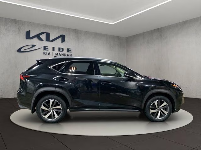 2019 Caviar Lexus NX 300 Base AWD SUV