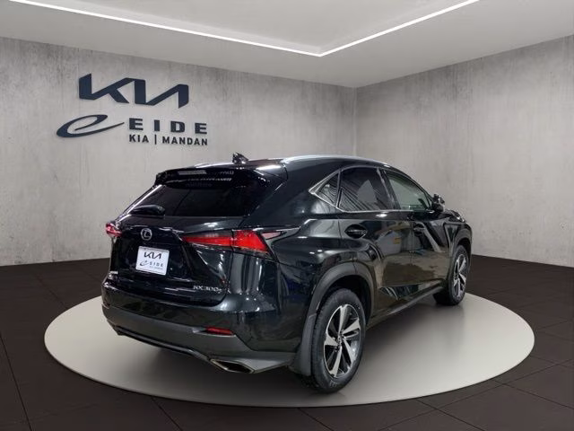 2019 Caviar Lexus NX 300 AWD SUV