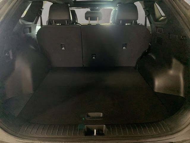 2024 Jungle Green Kia Sportage X-Line AWD SUV