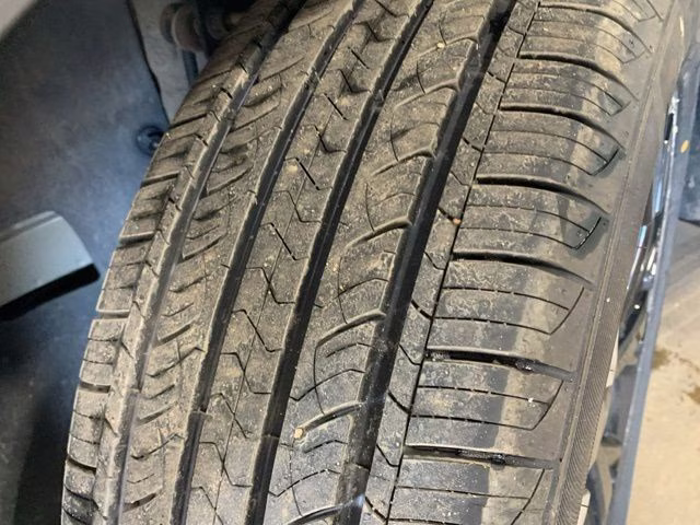 2024 Jungle Green Kia Sportage X-Line AWD SUV