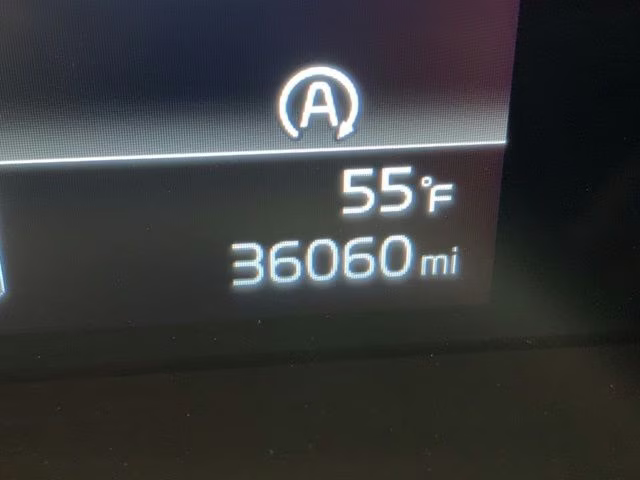 2024 Jungle Green Kia Sportage X-Line AWD SUV