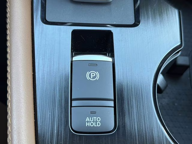 2025 Champagne Silver Metallic/Super Black Nissan Rogue Platinum FWD SUV