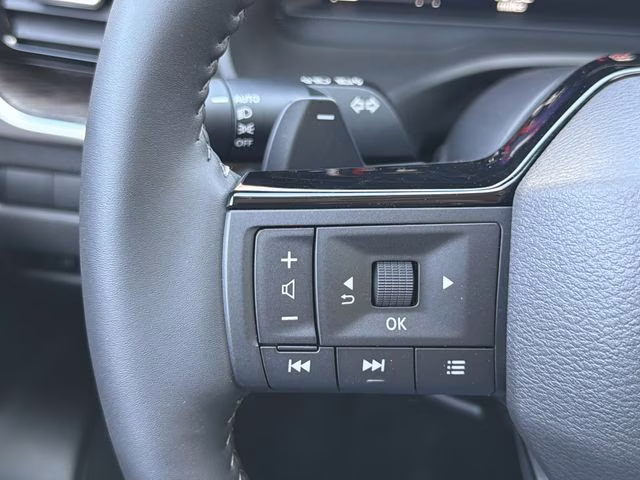 2025 Champagne Silver Metallic/Super Black Nissan Rogue Platinum FWD SUV