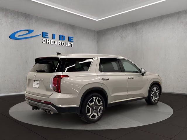 2025 Typhoon Silver Hyundai Palisade Limited AWD SUV