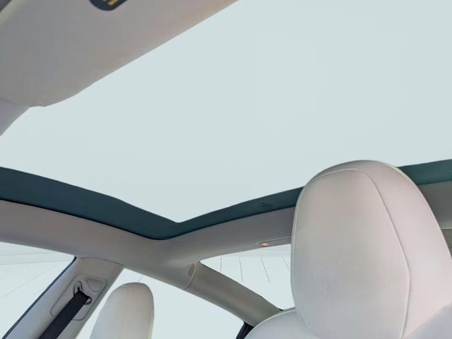 2019 Pearl White Multi-Coat Tesla Model 3 Standard Range Plus RWD Sedan