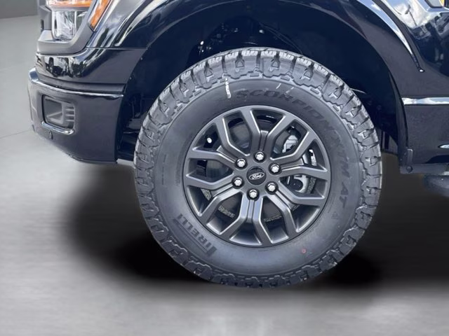 2026 Agate Black Metallic Ford F-150 Tremor 4X4 Truck