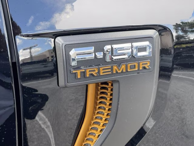 2026 Agate Black Metallic Ford F-150 Tremor 4X4 Truck