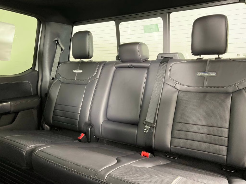 2026 Avalanche Ford F-150 Platinum 4X4 Truck