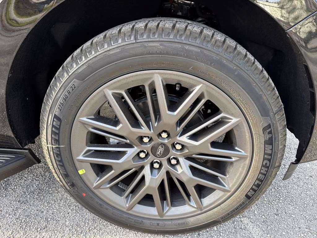 2026 Agate Black Metallic Ford Expedition Platinum 4X4 SUV