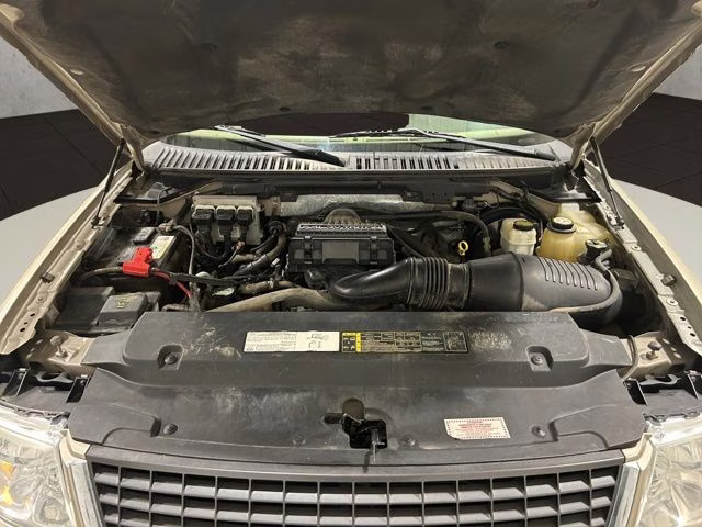 2006 Pueblo Gold Clearcoat Metallic Ford Expedition XLT 4X4 SUV