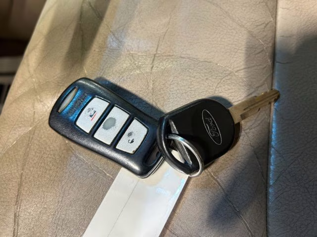 2006 Pueblo Gold Clearcoat Metallic Ford Expedition XLT 4X4 SUV
