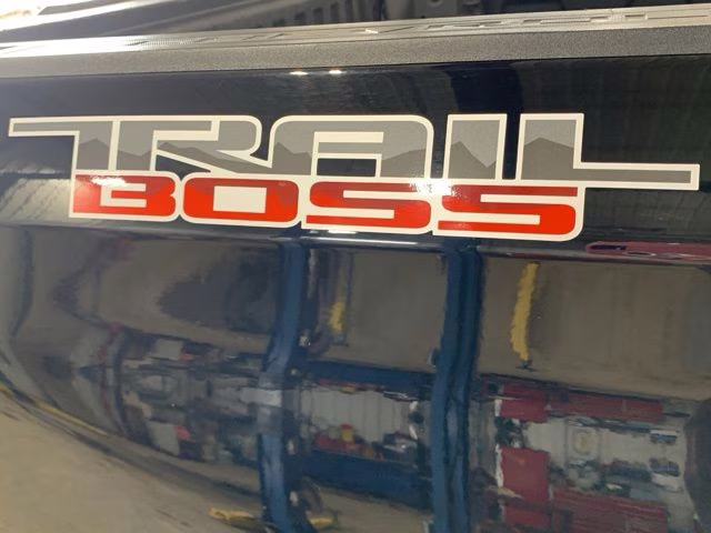 2020 Black Chevrolet Silverado 1500 LT Trail Boss 4X4 Truck