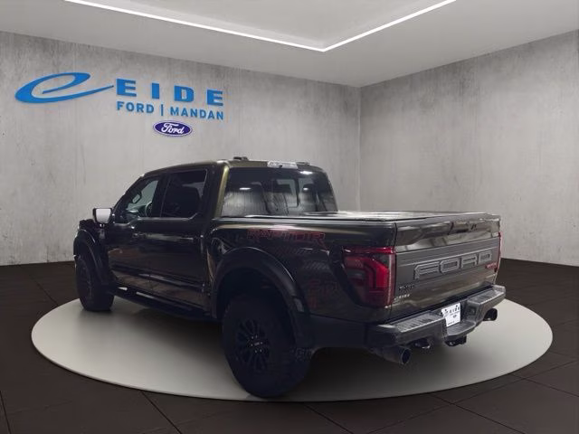 2024 Shelter Green Ford F-150 Raptor 4X4 Truck