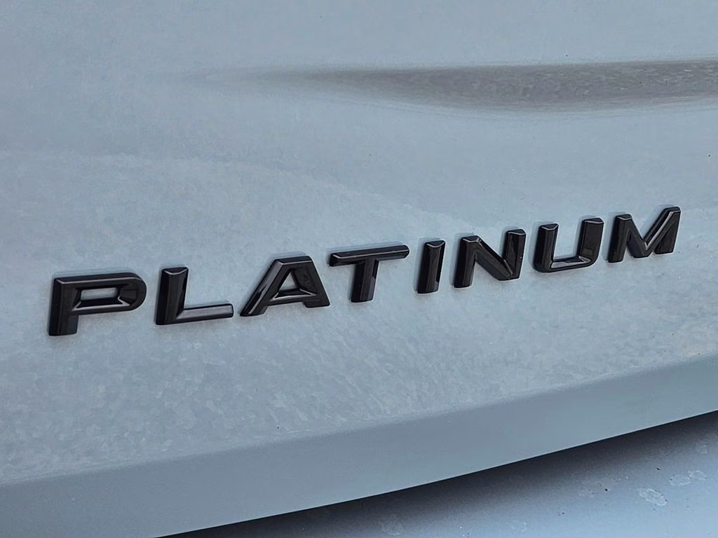 2026 Glacier Gray Metallic Tri-Coat Ford Expedition Platinum 4X4 SUV